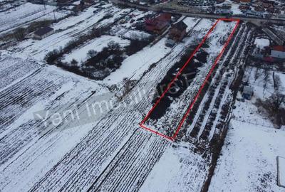 Teren de 2533 mp, în Bălteni - 3