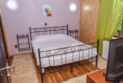 Casă individuală cu 6 camere cu Canalizare în Central - 28