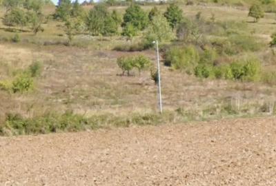 Teren de 5000 mp, în Central - 1