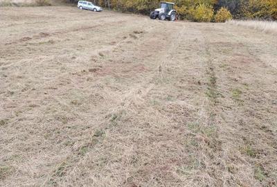 Spațiu comercial, în Damiș - 6