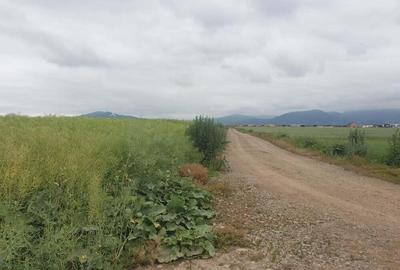 Harman teren agricol cu potential de introducere in intravilan. Harman teren agricol cu potential de introducere in intravilan. - 1