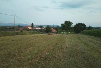 Teren Construcții intravilan de 3687 mp, în Răchita - 11