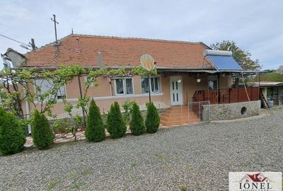 Casă individuală cu 3 camere în Vințu de Jos