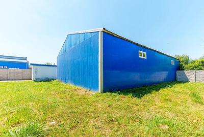 Depozit frigo de inchiriat in Sacalaz - 15