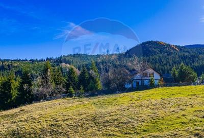 Teren Construcții intravilan de 13800 mp, în Fundățica - 4