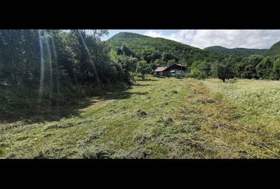 Spațiu comercial, în Central - 4