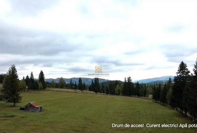 Teren 2804 mp, la munte! In Bucovina Fundu Moldovei! - 12
