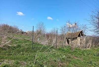 Mă vinde chiar și parcelat - 2