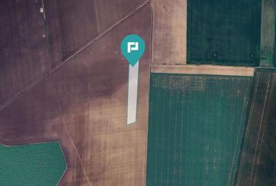 Teren 36.000 mp in Peciu Nou - 1