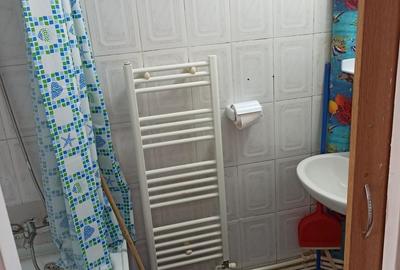 Garsonieră semidecomandată în Lotrului - 3