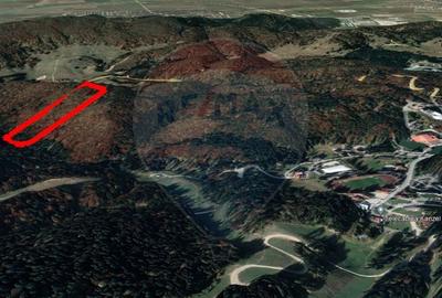 Teren intravilan, 56000 mp, Poiana Brasov - 4