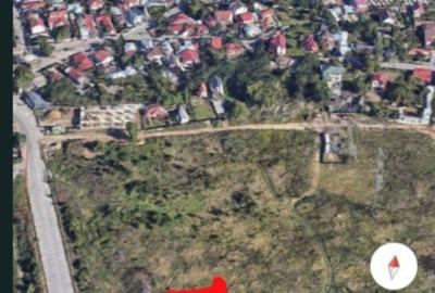 Spațiu comercial, în Central