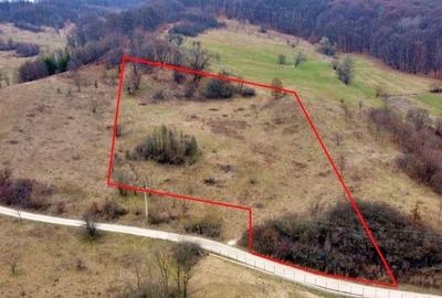 Zona in Expansiune, Teren Ideal pentru Afaceri Profitab... - 4