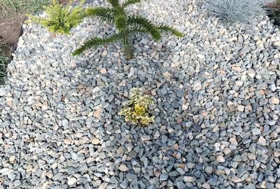 Spațiu comercial, în Feiurdeni - 7