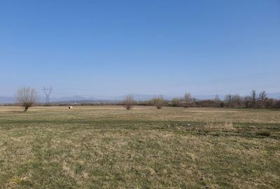 Spațiu comercial, în Coaș - 6