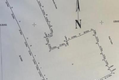 Teren de 9999 mp, în Neagra - 2