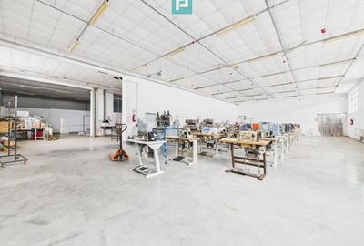 Teren 9.419 mp + hale 7.000 mp – Huși, Vaslui - 9