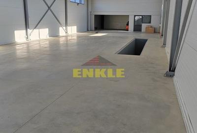 Spațiu industrial, de 250 mp, în Mănăstirea Doamnei - 2