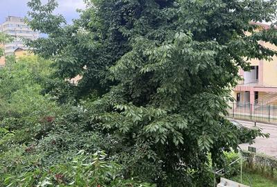Apartament cu 3 camere decomandat în Olari - 1