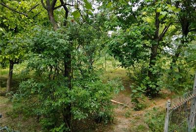 Casă cu 3 camere în Glodeanu-Siliștea - 5