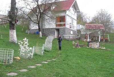 Casă cu Teren 4000 Mp în Central - 7