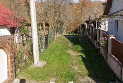 Spațiu comercial, în Jiblea Nouă - 3