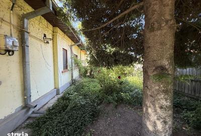 Teren de 706 mp, în Andronache - 10