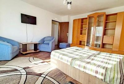 Garsonieră decomandată în Timocului-Șaguna - 10