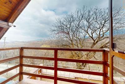 Casă cu 6 camere cu Teren 10331 Mp în Sohodol - 22