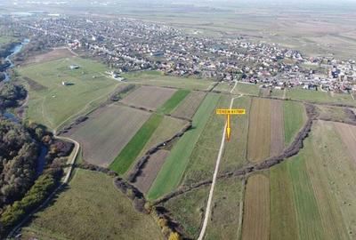 Teren Remetea Mare - rate pe 4 ani - cu utilitati garantate in contract - 3