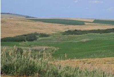 Teren de 1497 mp, în Aroneanu - 5