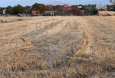 Teren intravilan de vanzare - 3