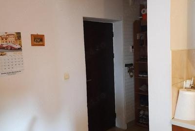 Apartament cu 2 camere decomandat în Moșnița Veche - 10
