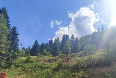 Spațiu comercial, în Baba - 1