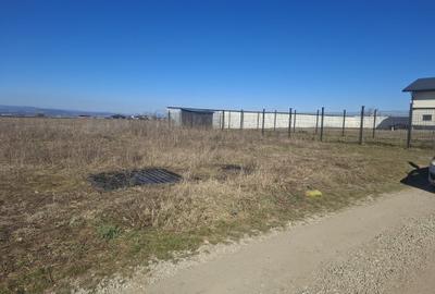 Teren Construcții intravilan de 600 mp, în Tărlungeni - 4