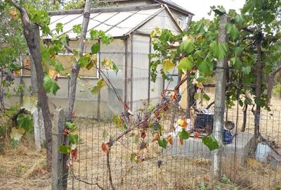 Casa de vanzare in Com.Movila, jud. Ialomita - 3