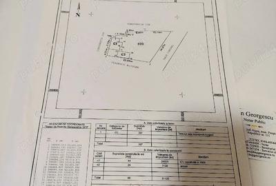 Casă în Valea Bradului - 5