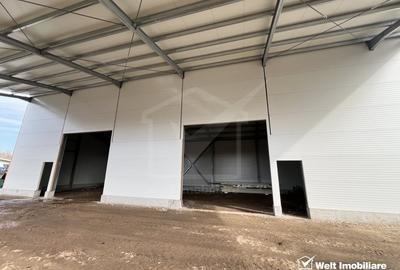 Spațiu industrial, de 211 mp, în Bulgaria - 2