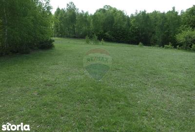 Teren de 7500 mp, în Copalnic - 6