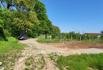Teren Construcții intravilan de 30688 mp, în Snagov - 3