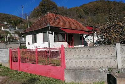 Casă cu 4 camere în Barbura - 2