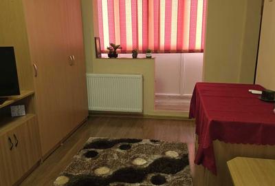 Garsonieră semidecomandată în Micălaca - 4