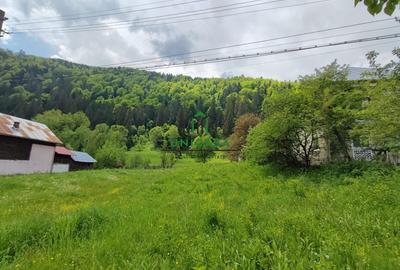 Teren Voineasa/Intravilan/5500 mp - 4