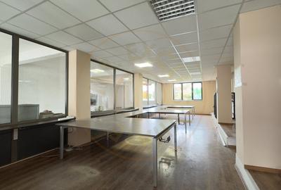 Cladire Industriala Hala Productie, Depozitare, Birouri-Teren 3140 mp - Carei - 6