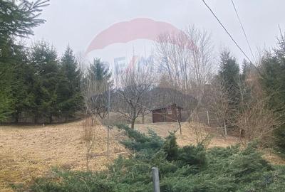 DE VANZARE Casa / Vila cu 6 camere  Podul Dambovitei/ Arges - 31