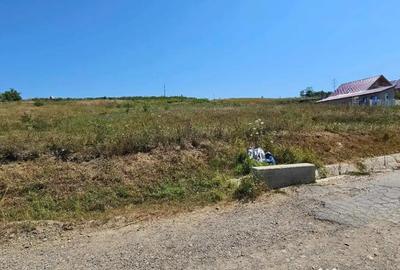 Teren de 2340 mp, în Miroslava