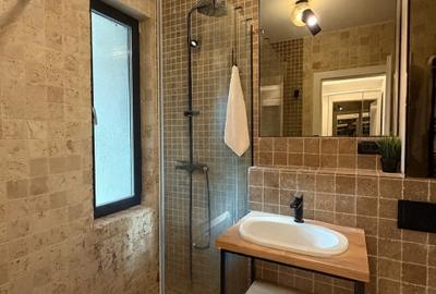 Apartament cu 2 camere, mobilat în Elvila - 10