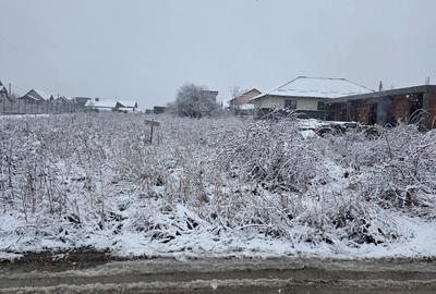 Teren de 1712 mp, în Moșoaia - 2