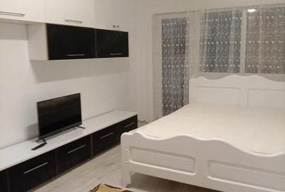 Garsonieră decomandată în Ipotești - 3