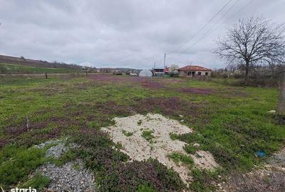 Teren de 1600 mp, în Daia - 8